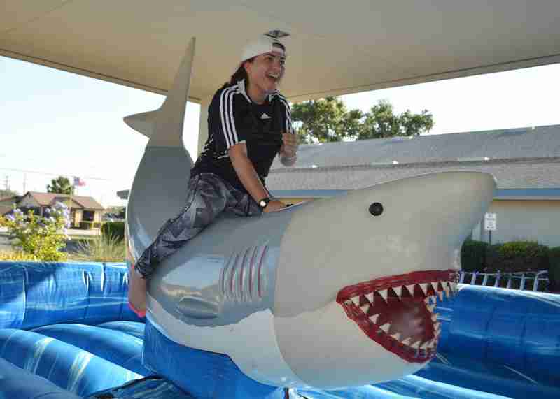Mechanical Shark rental in Cape Coral and Fort Myers, FL